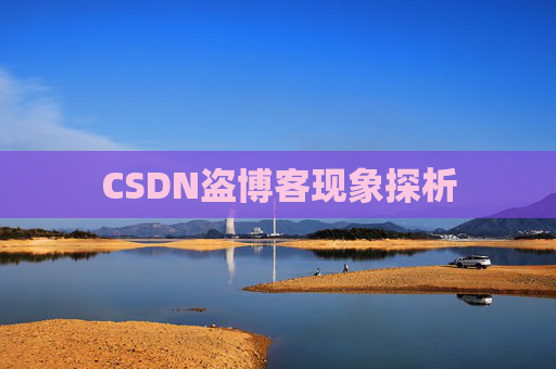 CSDN盗博客现象探析 CSDN盗博客现象探析